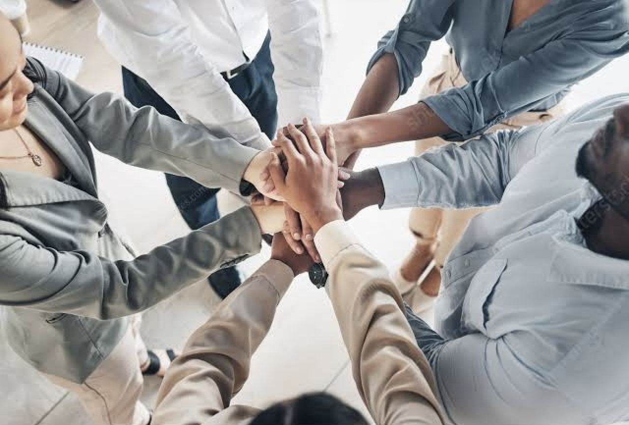 Meet the Team